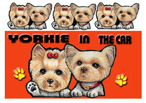 [NV[eA ObY G  }Olbg XebJ[ [L[ 212  XebJ[ [L[ [NV[eA ObY G  av[g NX}X v[g