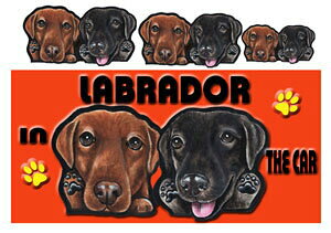  uh[go[ ObY G  XebJ[ uh[ 203 uh[go[ uh[ V[   XebJ[ uh[go[ ObY G u