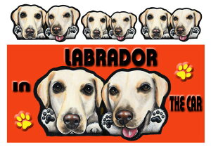 uh[go[ ObY G  }Olbg XebJ[ uh[go[ 201  XebJ[ uh[go[ ObY G uh[  av[g N