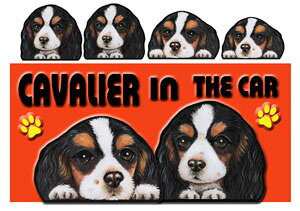 LoA ObY   XebJ[ LoA 205 V[   l[ G ObY  ԗpXebJ[ G LoA ObY  XebJ[ [ a LoA