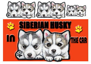 VxAnXL[ ObY G  }Olbg XebJ[ VxAnXL[ 202  XebJ[ VxAnXL[ ObY G  av[g NX}X v[g