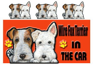  C[tHbNXeA ObY G  XebJ[ tHbNXeA 201 C[tHbNXeA V[  C[tHbNXeA ObY G  XebJ[ ԗpXeb