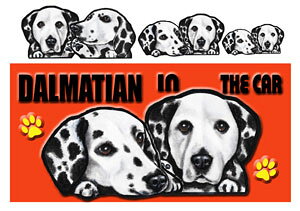  _VA ObY G _VA  XebJ[ _VA 202 V[  _VA G ObY ԗpXebJ[ G _VA ObY G _VA 