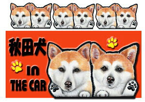  Hc ObY G }Olbg  XebJ[ Hc 201 Hc XebJ[   XebJ[ ԗpXebJ[ Hc ObY G XebJ[ a ObY {G aG a