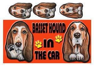  oZbgnEh ObY G  XebJ[ oZbgnEh@201 V[  oZbgnEh G ObY ԗpXebJ[ G oZbgnEh ObY G  XebJ[ 