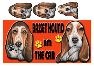  oZbgnEh ObY G  XebJ[ oZbgnEh 202 V[  oZbgnEh G ObY ԗpXebJ[ G oZbgnEh ObY G  XebJ[ 