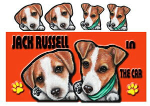  WbNbZeA ObY G  XebJ[ WbNbZeA 202 V[ WbNbZ ObY G ԗpXebJ[ WbNbZeA  av[g 