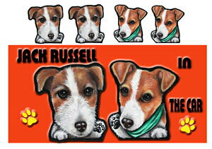  WbNbZeA ObY G  XebJ[ WbNbZeA 203 V[ WbNbZ ObY G ԗpXebJ[ WbNbZeA  av[g 