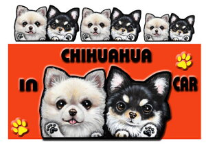 V[ ` ObY G   XebJ[ ` 204  XebJ[ԗpXebJ[ `@ObY G  av[g NX}X v[g