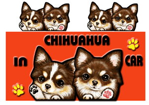 V[ }Olbg ` ObY G   XebJ[ ` 209  XebJ[ԗpXebJ[ `@ObY G  Mtg av[g|Cg NX}X v[g