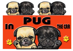 pO ObY   XebJ[pO 201 V[ pO  O l[ G ObY  ԗpXebJ[ pO ObY   pOObY XebJ[  av[g n