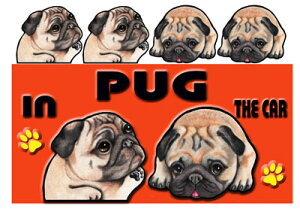 }Olbg  pO ObY G XebJ[  XebJ[ pO 202  XebJ[ pO ObY G XebJ[ G pOObY  ԗpXebJ[  av[g NX}X