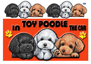 }Olbg V[ gCv[h 239 ObY G   XebJ[ gCv[h  XebJ[ԗpXebJ[ gCv[h ObY G  av[g nEB v[g