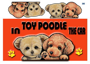 V[ }Olbg gCv[h 242 ObY G   XebJ[ gCv[h  XebJ[ԗpXebJ[ gCv[h ObY G  av[g NX}X v[g