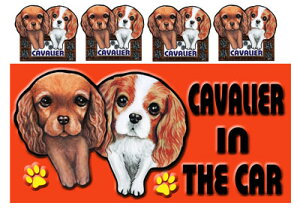  LoA ObY G  XebJ[ LoA 201 V[   l[ G ObY  ԗpXebJ[ G LoA ObY G  XebJ[ [ a 