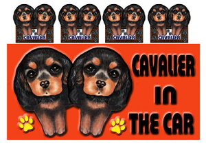  LoA ObY G  XebJ[ LoA 204 V[   l[ G ObY  ԗpXebJ[ G LoA ObY G  XebJ[ [ a 