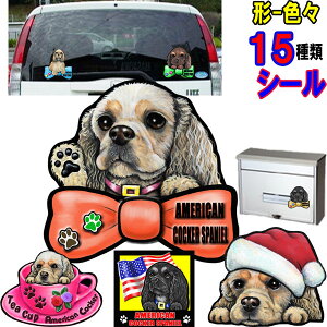 1000~|bL   XebJ[  킢  AJRbJ[XpjG ObY G V[ XebJ[ CObVRbJ[XpjG  I[_[ C