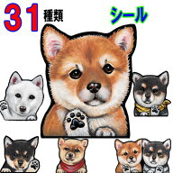 1000円ポッキリ 送料無料 犬 ステッカー おしゃれ かわいい かっこいい 柴犬グッズ 柴犬 グッズ 雑貨 車 …