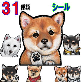 母の日 プレゼント 1000円ポッキリ 犬 ステッカー おしゃれ かわいい かっこいい おしゃれ 車 オーダー メイド Sサイズ 肉球 スーツケース 玄関 足跡 柴犬 グッズ 雑貨 シール 車に貼る 黒 柴 車用 柴犬グッズ ドッグ 犬ステッカー 豆柴 黒柴 白柴 柴犬ステッカー