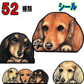 父の日 プレゼント 犬 ステッカー ダックスフンド 雑貨 グッズ シール 車に貼る ダックスフンド ダックスフンド 雑貨 グッズ 犬 ステッカー 肉球 犬のステッカー オーダーメイド かわいい グツズ 車用 可愛い ステッカー 犬ステッカー 車 プレゼント