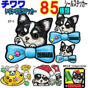 1000~|bL   XebJ[  킢  ` ObY G V[ Ԃɓ\ hbO XebJ[  I[_[ Ch STCY  X[cP[X   `