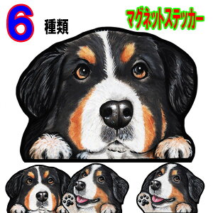 犬用ペットグッズ バーニーズマウンテンドッグの通販 価格比較 価格 Com