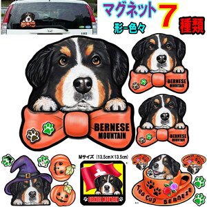犬用ペットグッズ バーニーズマウンテンドッグの通販 価格比較 価格 Com