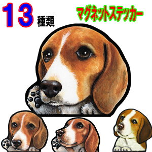  XebJ[  킢    I[_[ Ch STCY  X[cP[X   r[O ObY G }Olbg Ԃɓ\ r[O ObY G I[_[ 