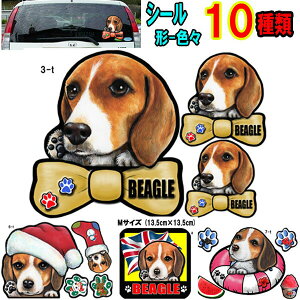 1000~|bL   XebJ[  킢  r[O ObY G V[ Ԃɓ\ r[O ObY G I[_[  I[_[ Ch STCY  X[cP[X 