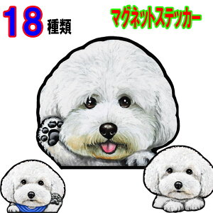  XebJ[  킢    I[_[ Ch STCY  X[cP[X   rVt[[ ObY G }Olbg Ԃɓ\  XebJ[ ԗp 