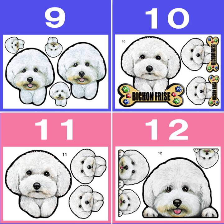 楽天市場 1000円ポッキリ 送料無料 犬 ステッカー ビションフリーゼ グッズ 雑貨 シール 車に貼る 犬 ステッカー 犬のステッカー ビションフリーゼ グッズ 雑貨 オーダー かわいい ビション フリーゼ 車ステッカー 車用 可愛い ドッグ 犬ステッカー 車 バレンタイン