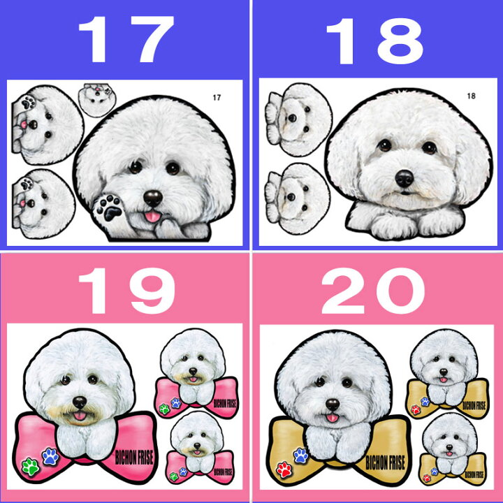 楽天市場 1000円ポッキリ 送料無料 犬 ステッカー ビションフリーゼ グッズ 雑貨 シール 車に貼る 犬 ステッカー 犬のステッカー ビションフリーゼ グッズ 雑貨 オーダー かわいい ビション フリーゼ 車ステッカー 車用 可愛い ドッグ 犬ステッカー 車 バレンタイン