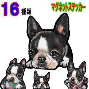  XebJ[  킢    I[_[ Ch STCY  X[cP[X    XebJ[ {XgeA ObY G }Olbg Ԃɓ\ {XgE