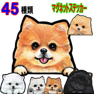 犬 ステッカー ポメラニアングッズ おしゃれ かわいい かっこいい おしゃれ 車 オーダー メイド Sサイズ 肉球 スーツケース 玄関 足跡 ポメラニアン グッズ 雑貨 マグネット 車に貼る 車 に