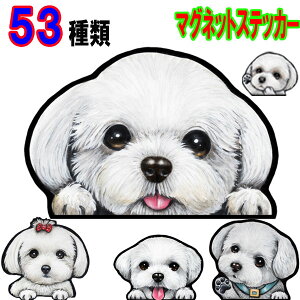  XebJ[  킢    I[_[ Ch STCY  X[cP[X   }`[Y ObY G }Olbg Ԃɓ\ ԗp hbO XebJ[ dog i