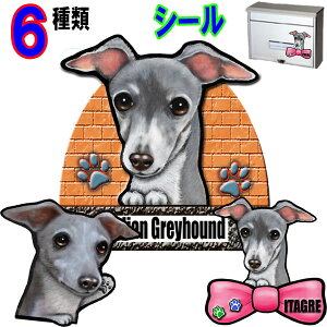 1000~|bL   XebJ[ V[ C^O C^AO[nEh G Ԃɓ\ ObY G  XebJ[  ̃XebJ[ J[XebJ[ 킢 ԃXebJ[ 