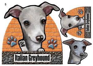 C^O I[_[ C^AO[nEh  XebJ[ C^O 5 C^AO[nEh C^AEO[nEh l[s V[ C^O  C^AO[nE