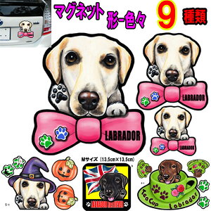 }Olbg  XebJ[  킢    I[_[ Ch STCY  X[cP[X   uh[go[ ObY G uh[ uh[