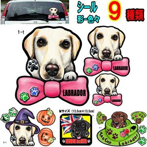 1000~|bL   XebJ[ V[ uh[ uh[go[ ObY G Ԃɓ\ ObY G  XebJ[  ̃XebJ[ J[XebJ[ ԃXebJ[ 