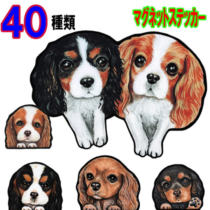 楽天市場 犬 ステッカー キャバリア マグネット ステッカー グッズ 雑貨 車に貼る 犬 ステッカー 肉球 犬のステッカー グッズ 雑貨 キャバリア かわいい 車 カー 可愛い ドッグ 犬ステッカー In Car キャバリアステッカー キャバリア 車 お中元 ギフト ステッカー