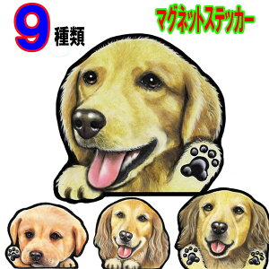  XebJ[ }Olbg S[fgo[ ObY G Ԃɓ\ ObY G  XebJ[  ̃XebJ[ 킢 ObY G ԃXebJ[ J[  hbO XebJ