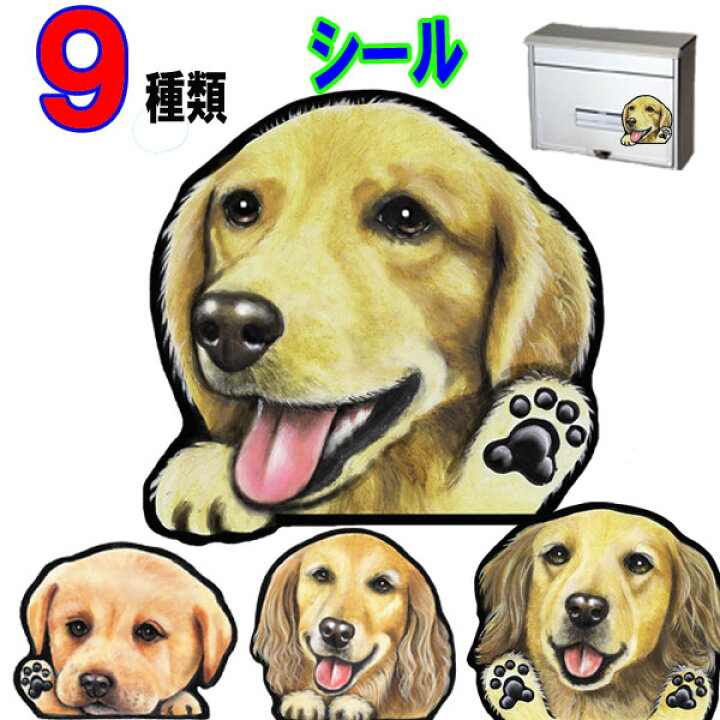 楽天市場 父の日 プレゼント 送料無料 犬 ステッカー ゴールデンレトリバー グッズ 雑貨 シール 車に貼る 犬 ステッカー 肉球 犬のステッカー ゴールデン オーダー かわいい 車ステッカー 車用 可愛い ドッグ 犬ステッカー Dog In Car グッズ 雑貨 車 母の日