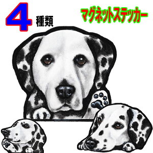  XebJ[  킢    I[_[ Ch STCY  X[cP[X    XebJ[ _VA h }Olbg Ԃɓ\ ObY G ԗp 