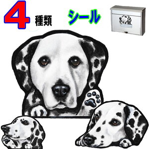 1000~|bL   XebJ[  킢    I[_[ Ch STCY  X[cP[X    XebJ[ _VA h V[ Ԃɓ\ 