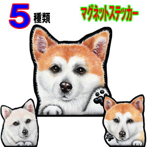  XebJ[  킢    I[_[ Ch STCY  X[cP[X    XebJ[ Hc h }Olbg Ԃɓ\ G hbO XebJ[ 