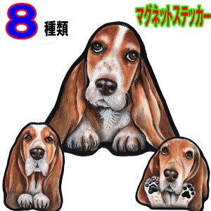  XebJ[  킢    I[_[ Ch STCY  X[cP[X    XebJ[ oZbgnEh h }Olbg Ԃɓ\ ObY G 