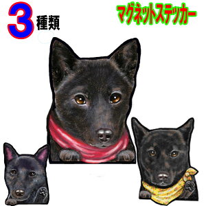  XebJ[  킢    I[_[ Ch STCY  X[cP[X    XebJ[ b㌢ h }Olbg Ԃɓ\ b㌢ dogXebJ[ hb