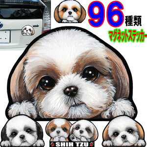  XebJ[  킢    I[_[ Ch STCY  X[cP[X   V[Y[ ObY G }Olbg Ԃɓ\  XebJ[  V[Y[ h