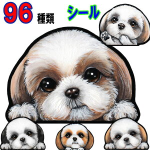 1000~|bL   XebJ[  킢    I[_[ Ch STCY  X[cP[X   V[Y[ ObY G V[ Ԃɓ\  XebJ