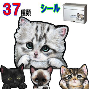 1000~|bL  L XebJ[ h L V[ l[s L G ObY CAT IN CAR ybg CATINCAR  L XebJ[ h ԗpXebJ[ LG L XebJ[ h  av